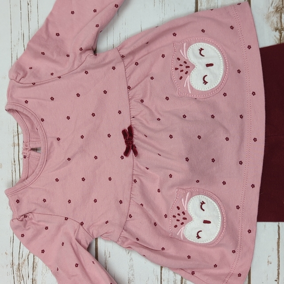 Carter's Child of Mine Owl Outfit 0-3M - Picture 2 of 8
